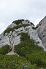 P1000892