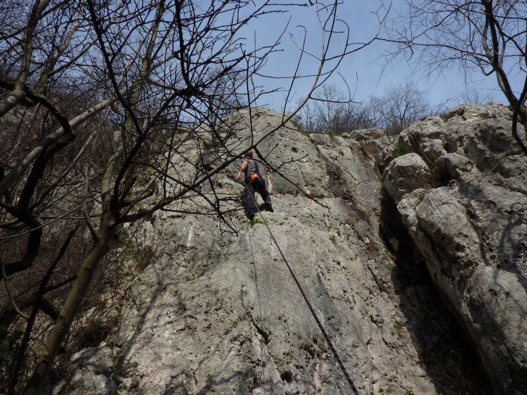 p1000266.jpg