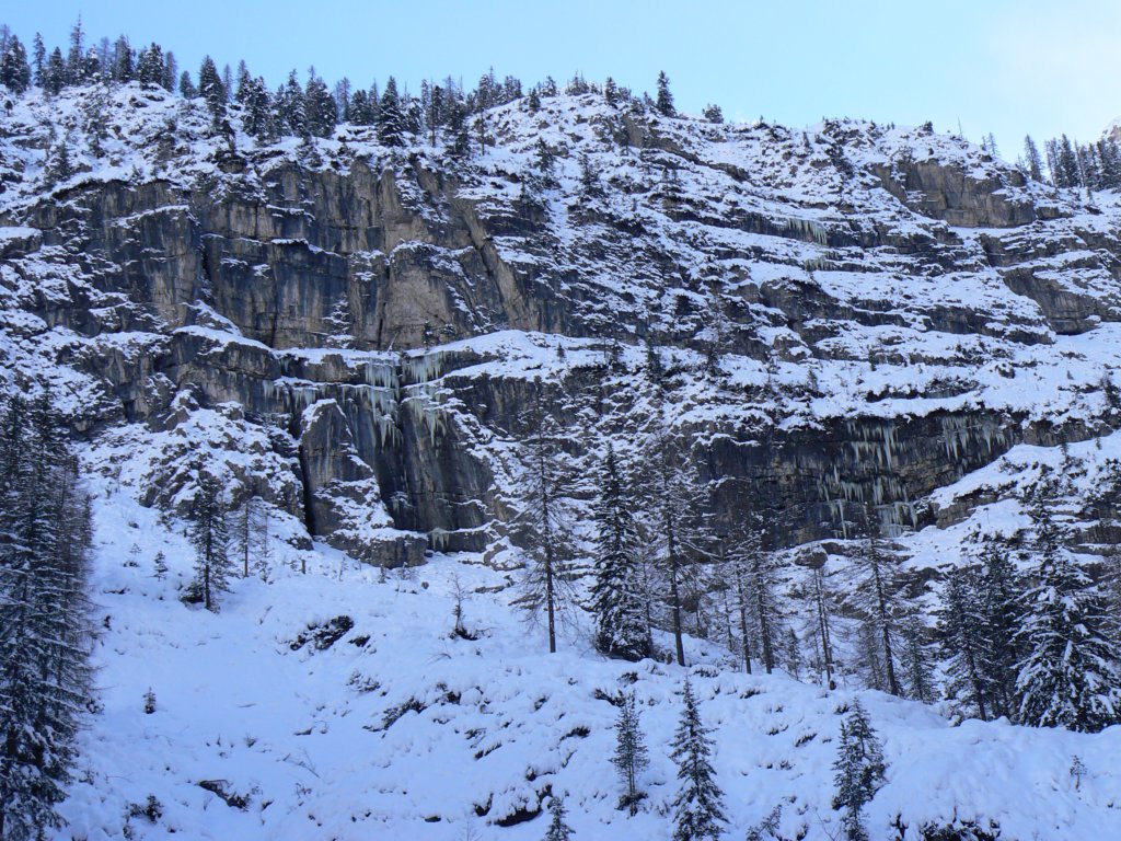 p1140754.jpg