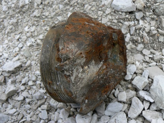 p1120166.jpg