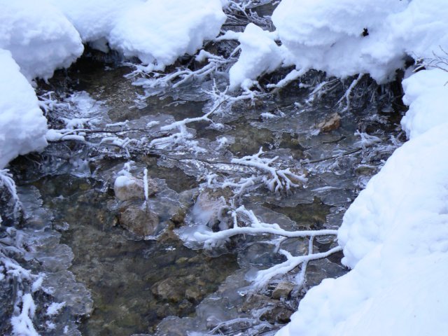 p1130087.jpg