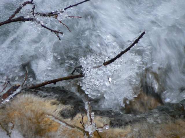 p1130166.jpg
