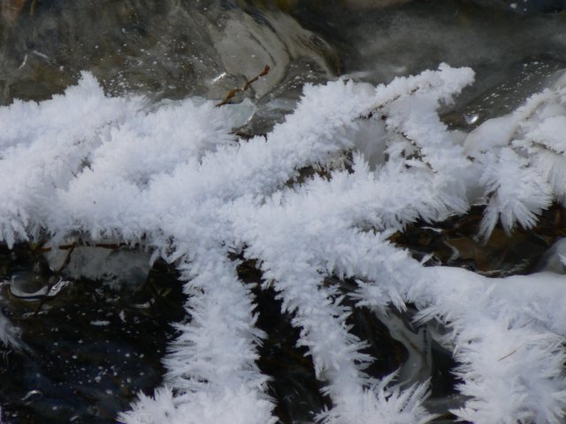 p1130185.jpg