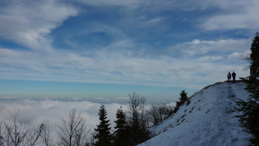 p1010897.jpg